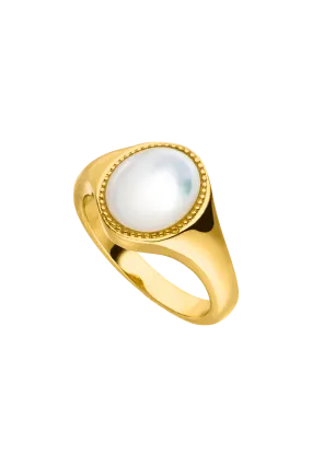 Amalfi Signet Ring 14K Gold Plated