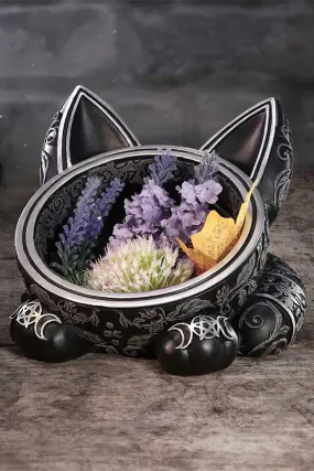 Black Cat Magic Jewelry Holder