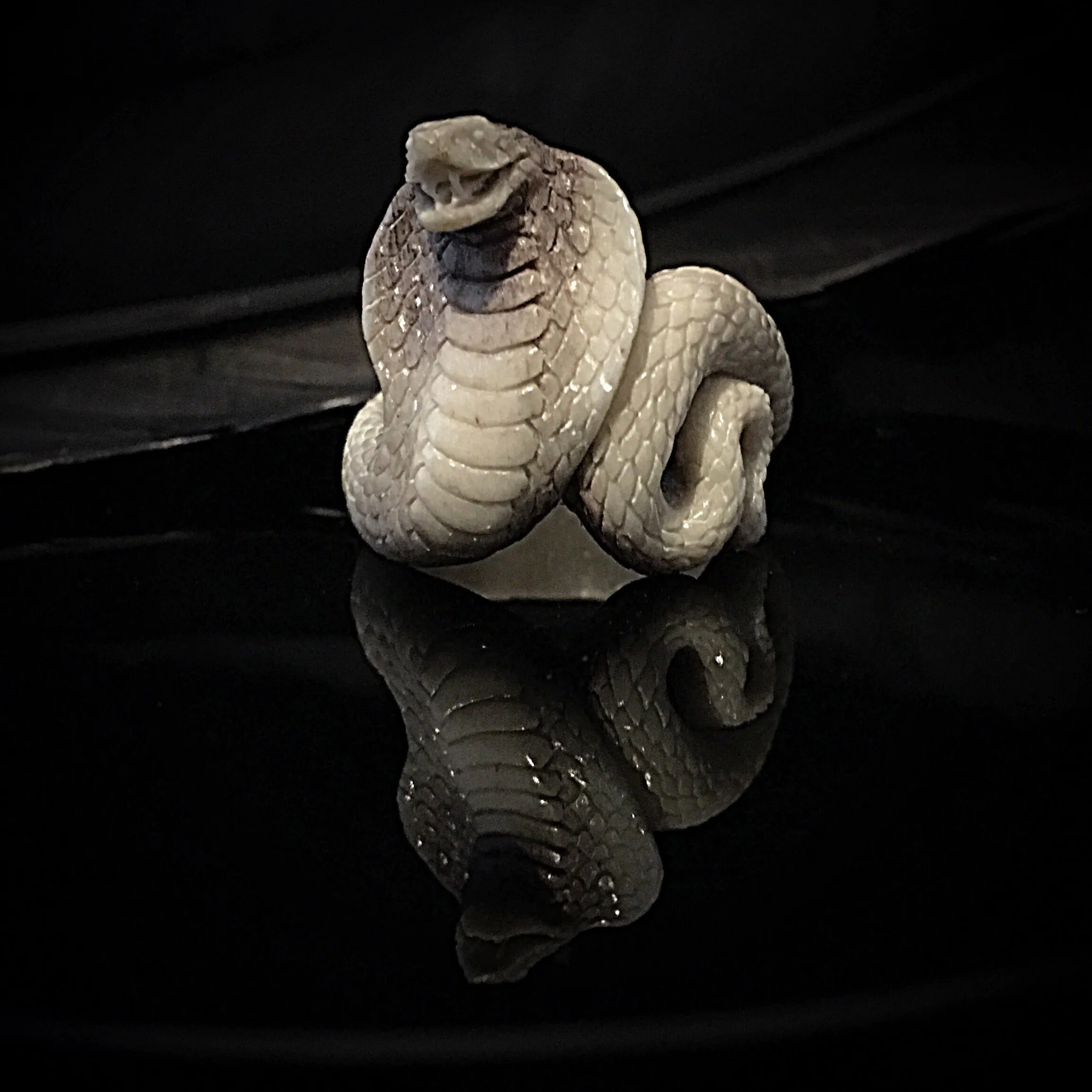 Cobra Ring