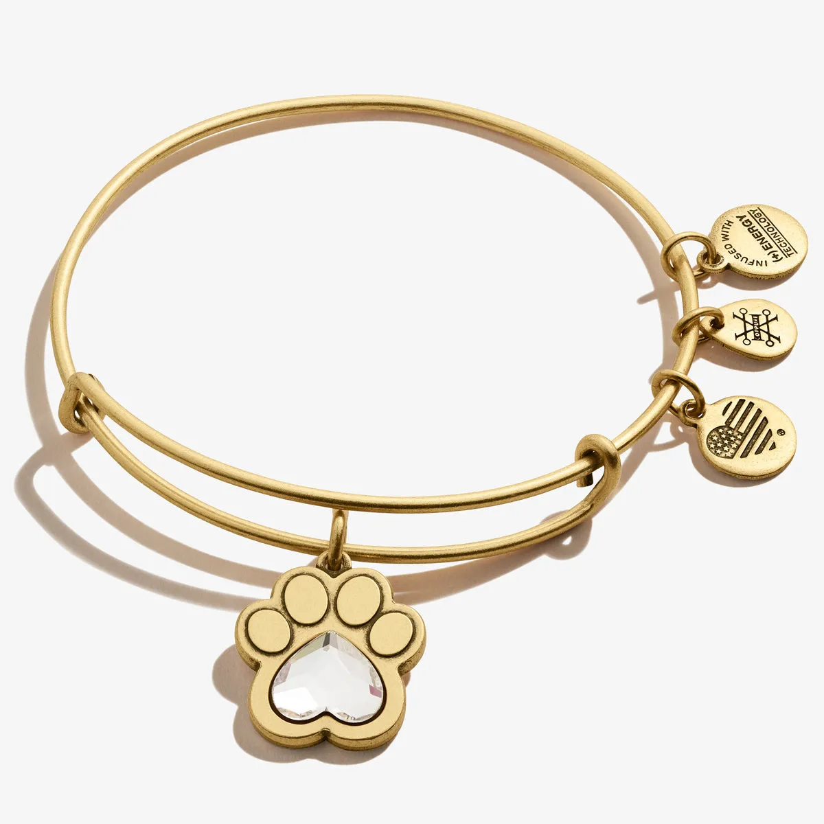 Crystal Paw Prints of Love Charm Bangle