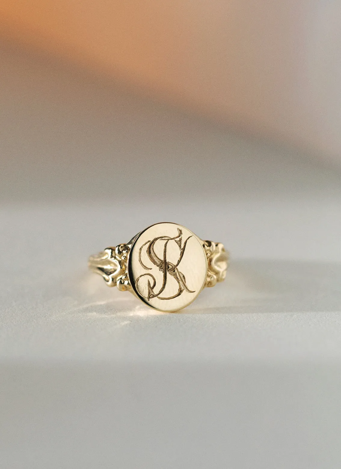 Dani signet ring 14k gold