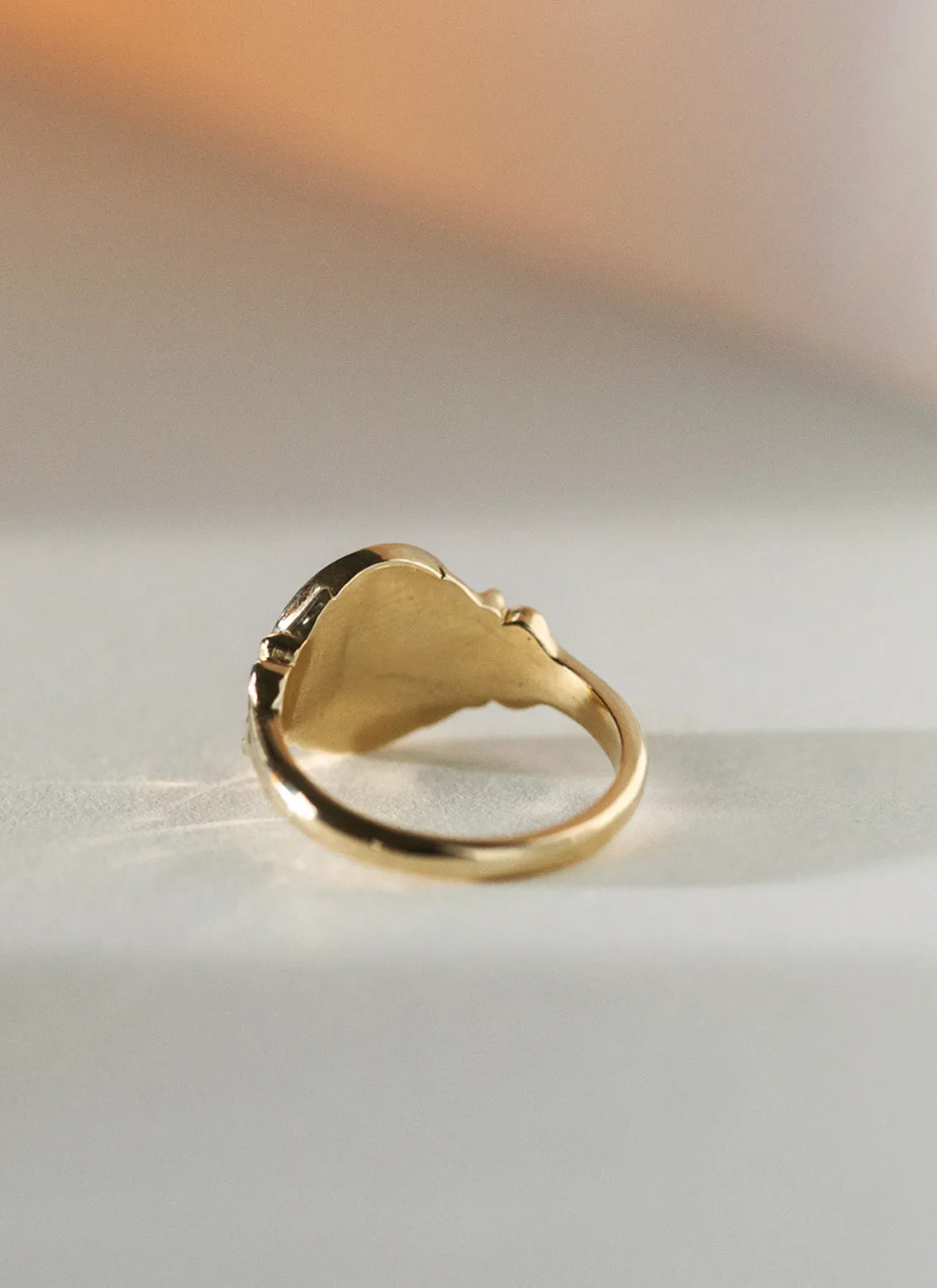 Dani signet ring 14k gold