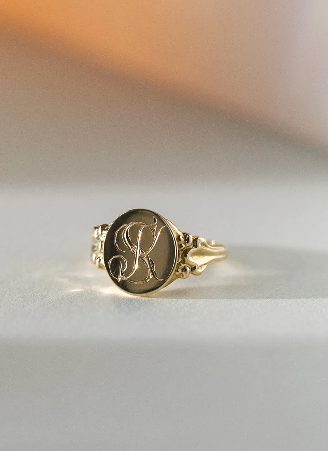 Dani signet ring 14k gold